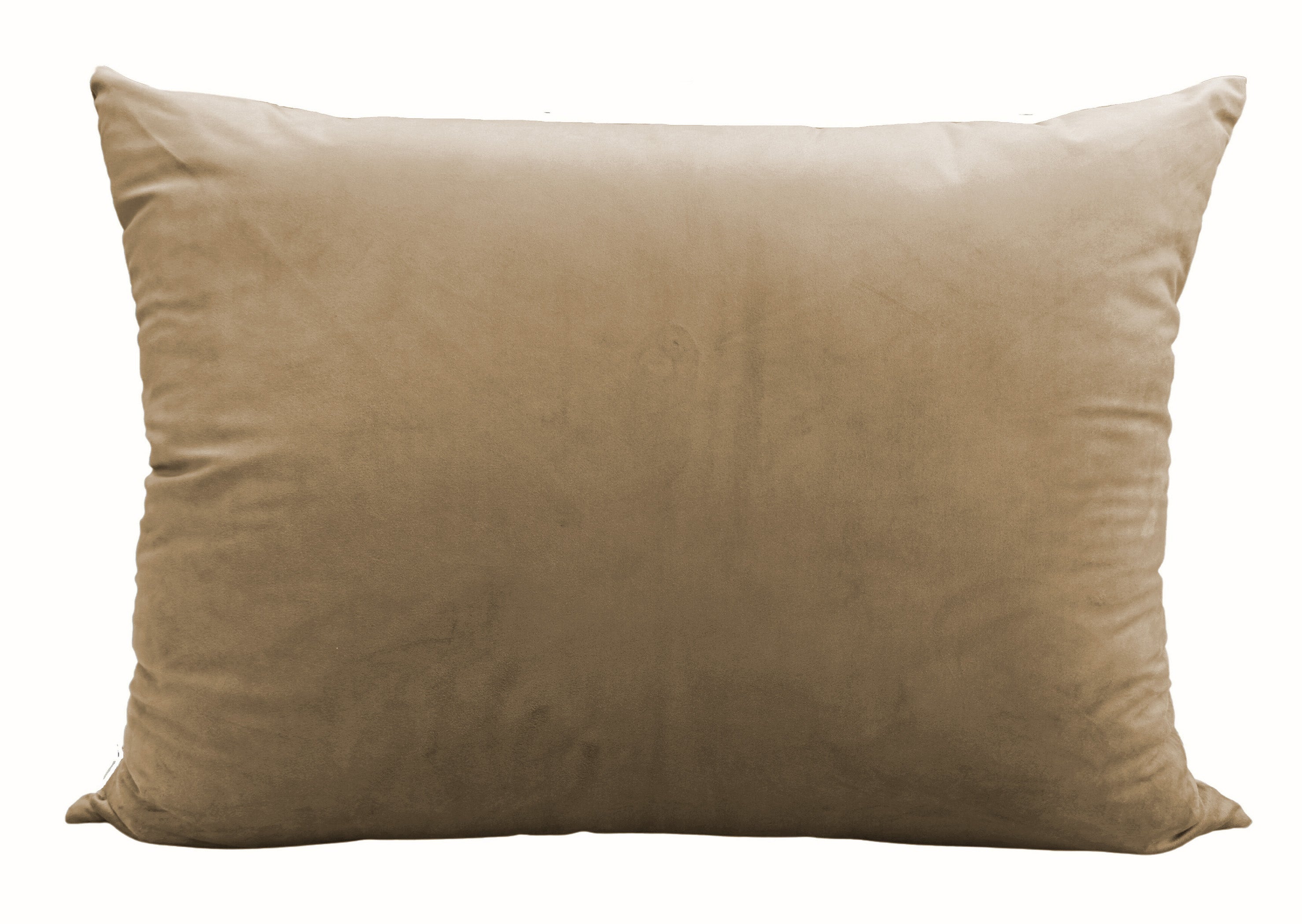 2 Cojines Isa Beige (40x60 cm)