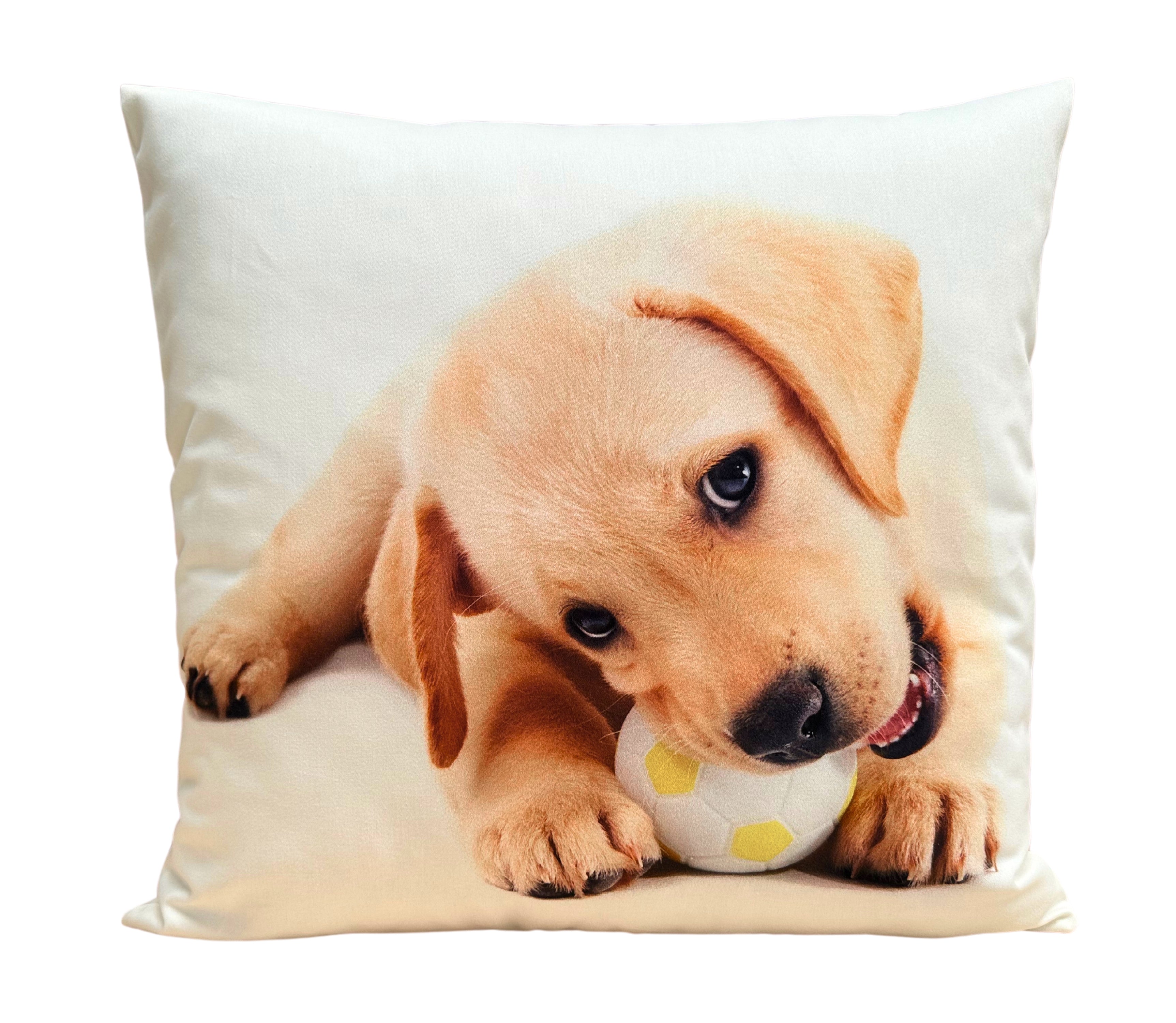 Cojín Estampado Perro 5