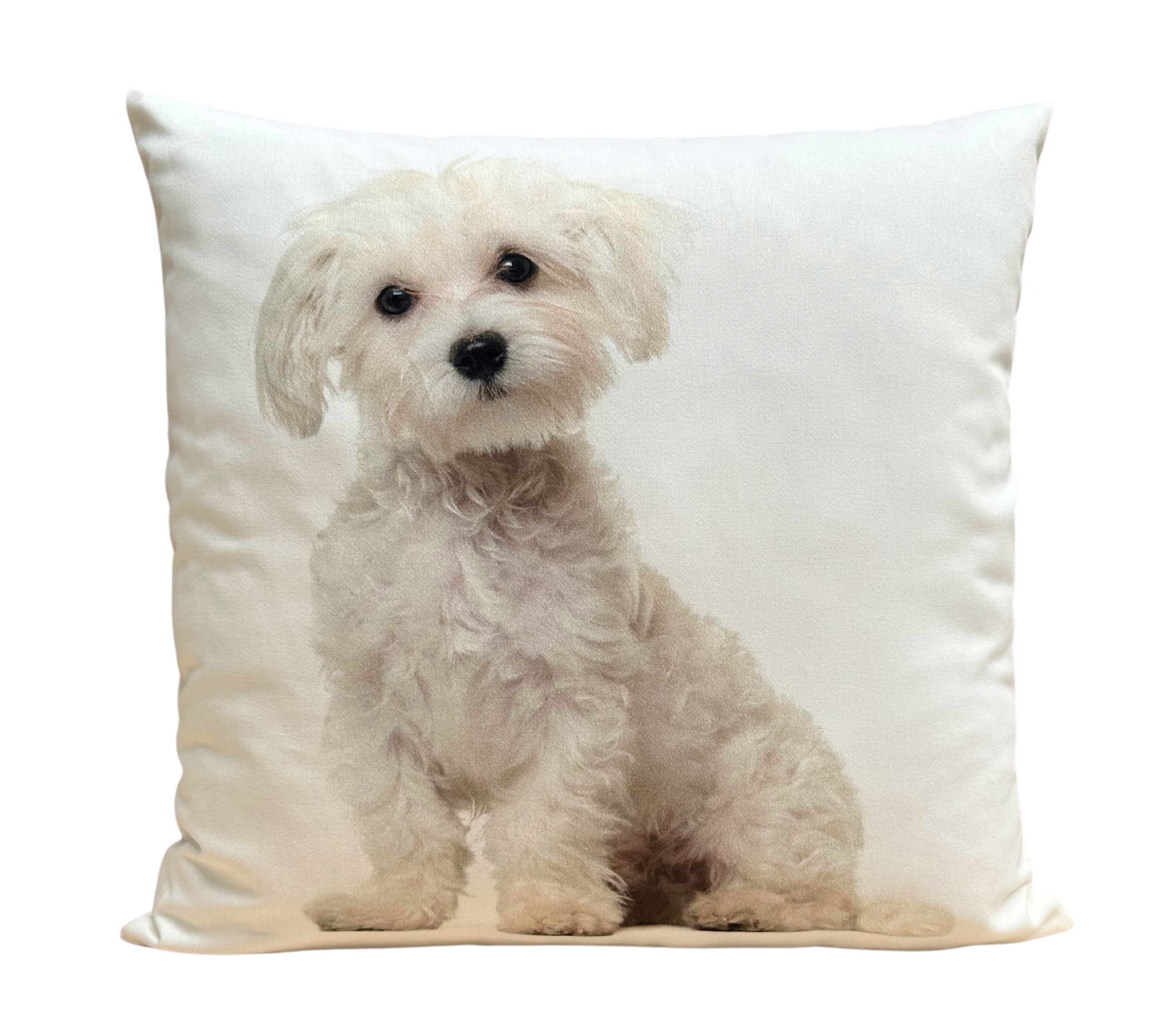 Cojín Estampado Perro 6