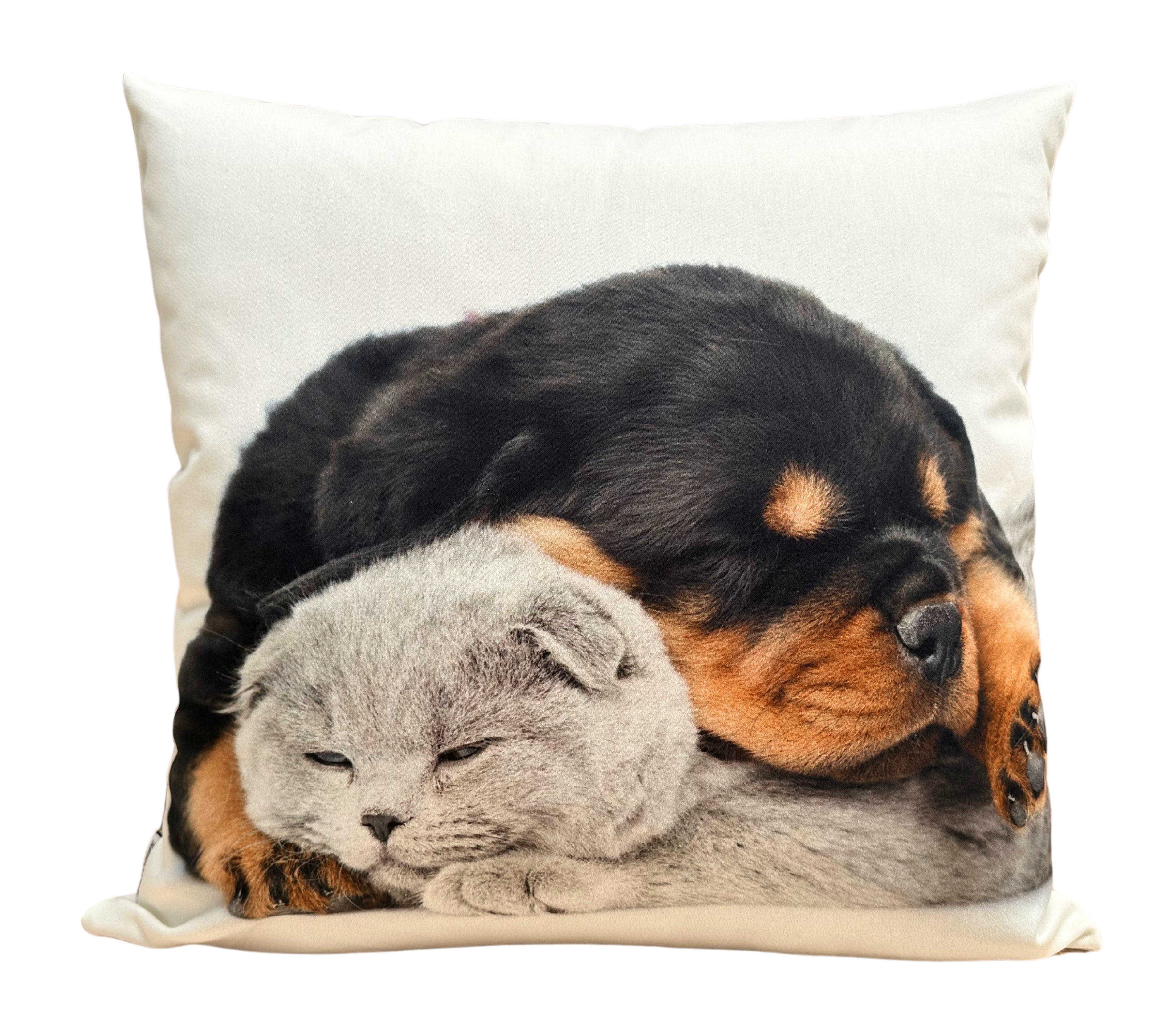 Cojín Estampado Perro y Gato 2