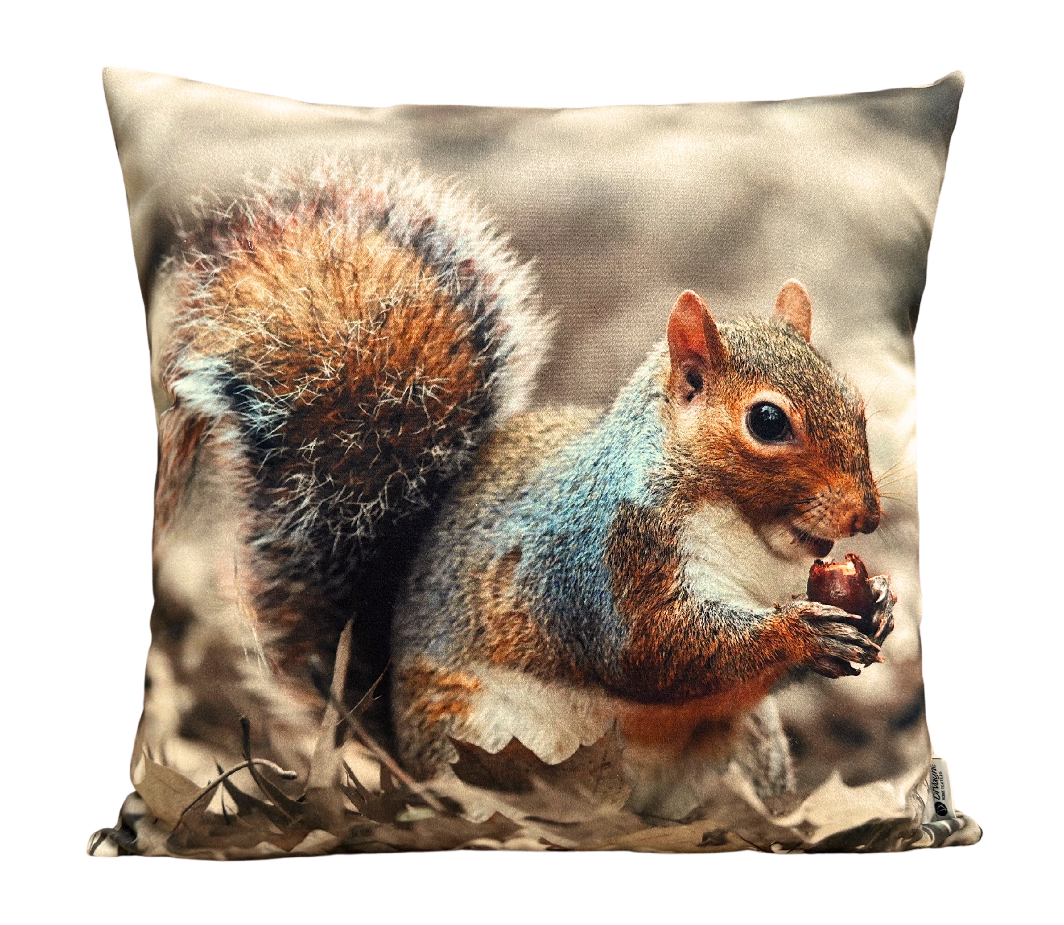 Cojín Estampado Ardilla 10