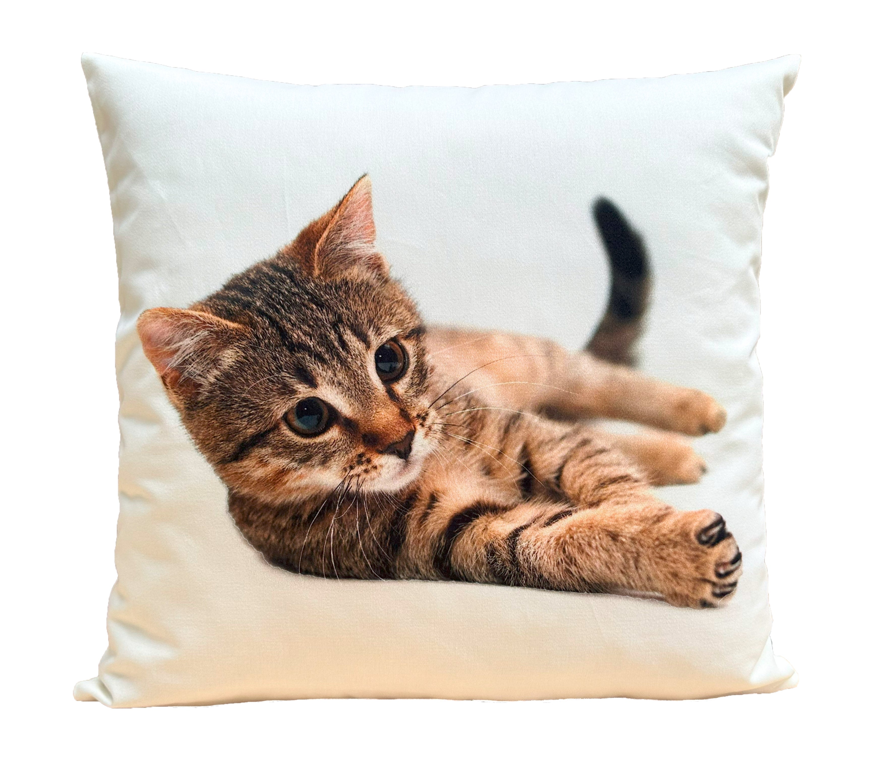 Cojín Estampado Gato 11