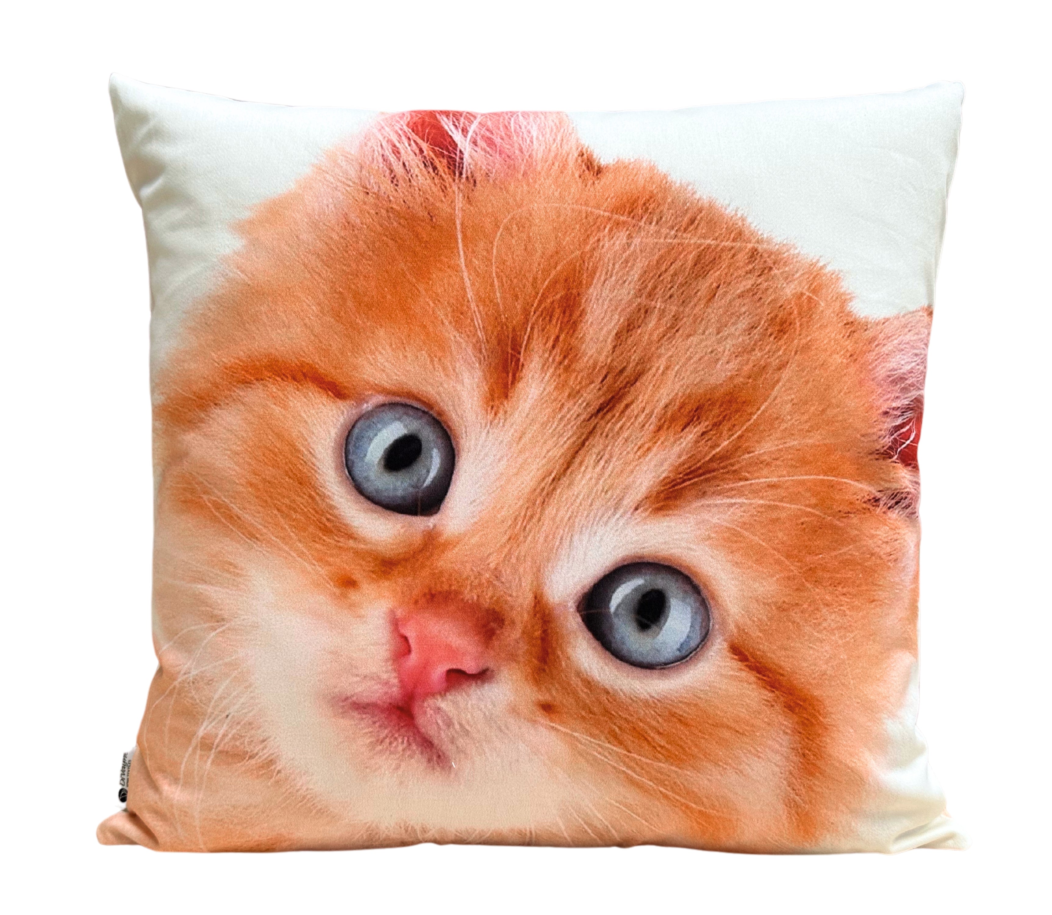 Cojín Estampado Gato 12