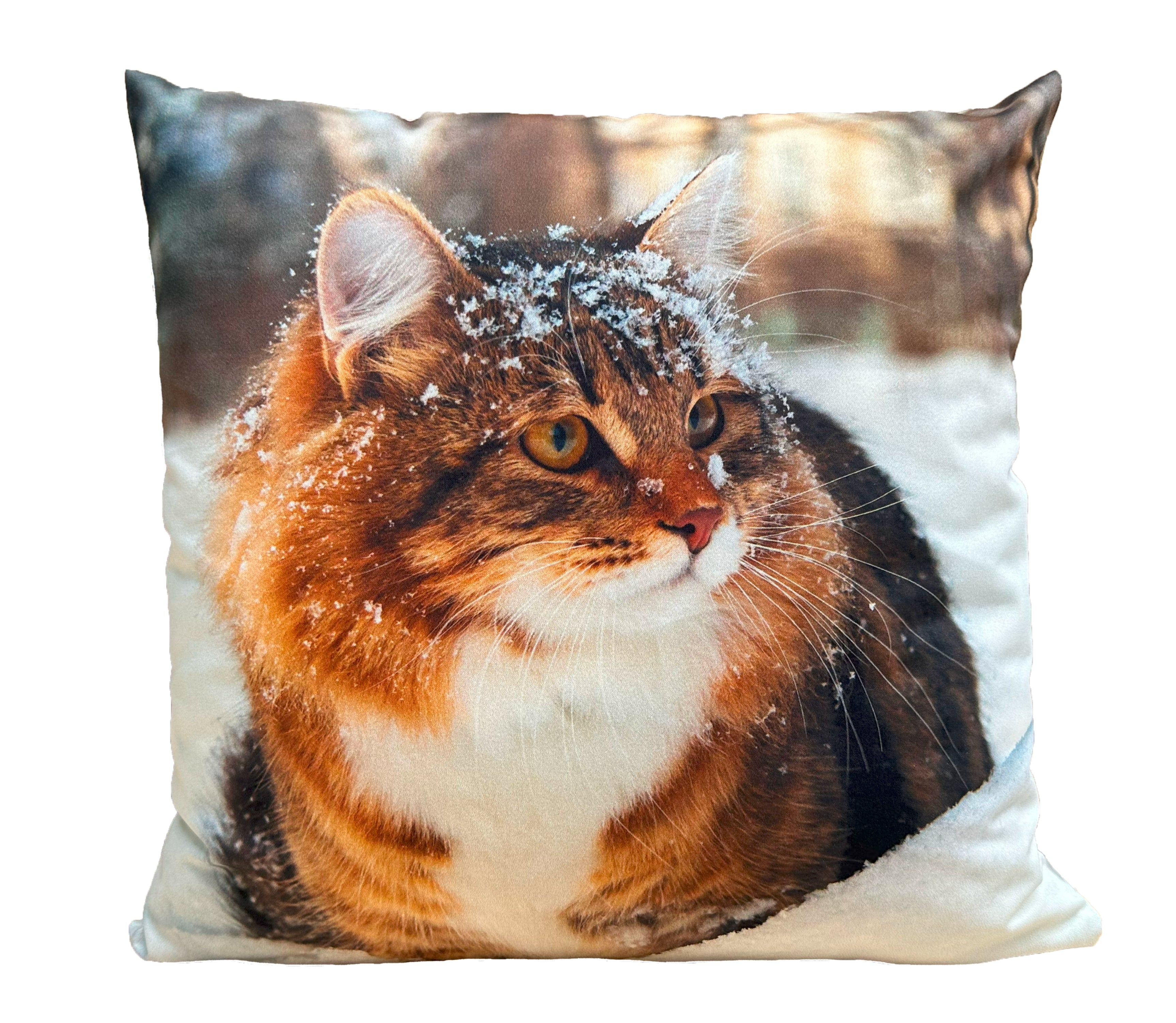 Cojín Estampado Gato 9