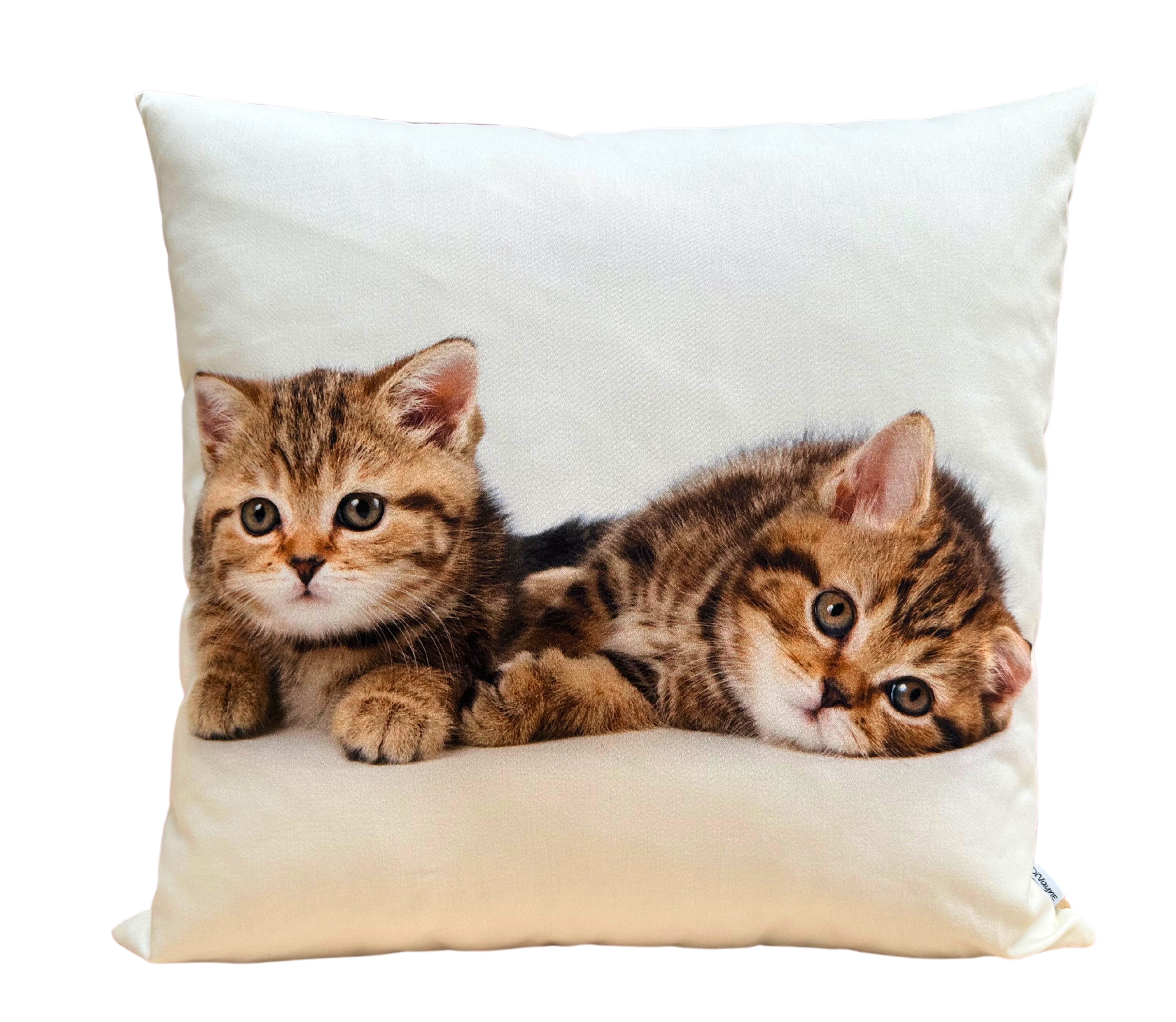 Cojín Estampado Gatos 7